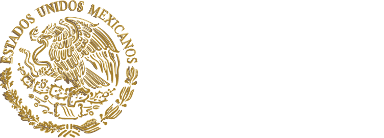 Logo Gobierno de México